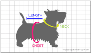 Dog measurements