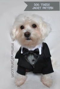 Dog Tuxedo Jacket Patterns | PDF PATTERN | Mimi & Tara