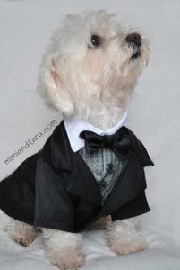 Dog Tuxedo Jacket Patterns | PDF PATTERN | Mimi & Tara